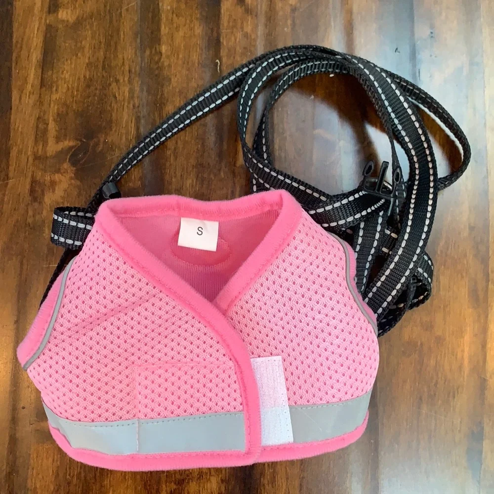 Cat/kitty leash (never used)